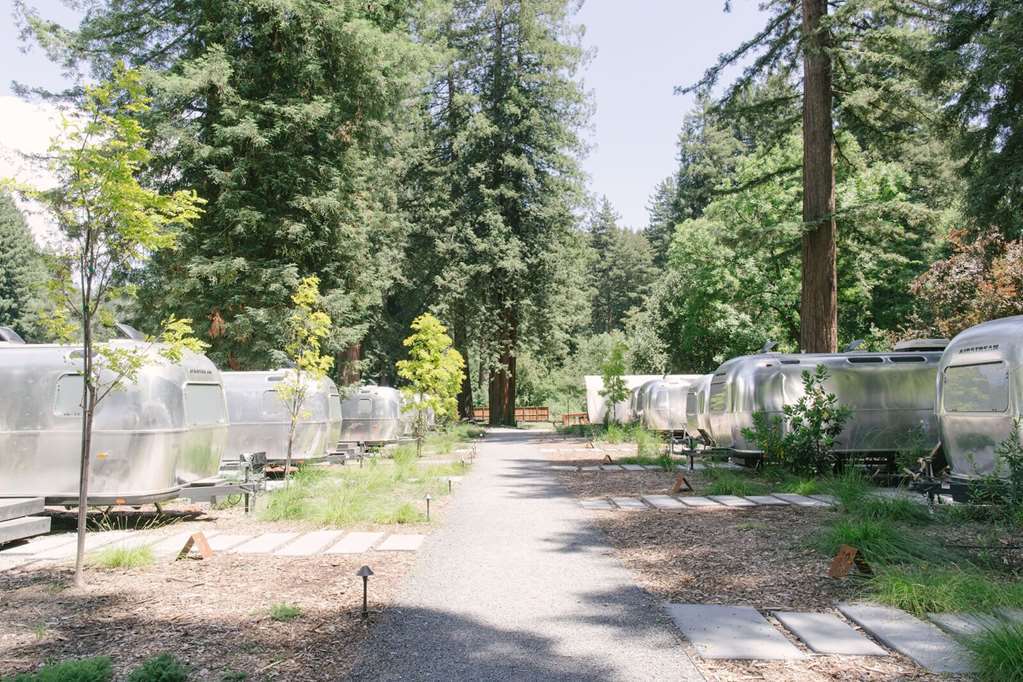 Autocamp Russian River جيرنفيل المظهر الخارجي الصورة